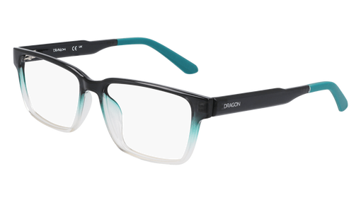 DR9013